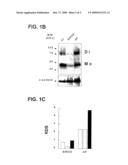 COMPOUNDS FOR THE TREATMENT OF AURICULAR FIBRILLATION diagram and image