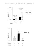 COMPOUNDS FOR THE TREATMENT OF AURICULAR FIBRILLATION diagram and image