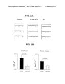 COMPOUNDS FOR THE TREATMENT OF AURICULAR FIBRILLATION diagram and image