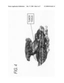 VITAL TISSUE DISCRIMINATION DEVICE AND METHOD diagram and image