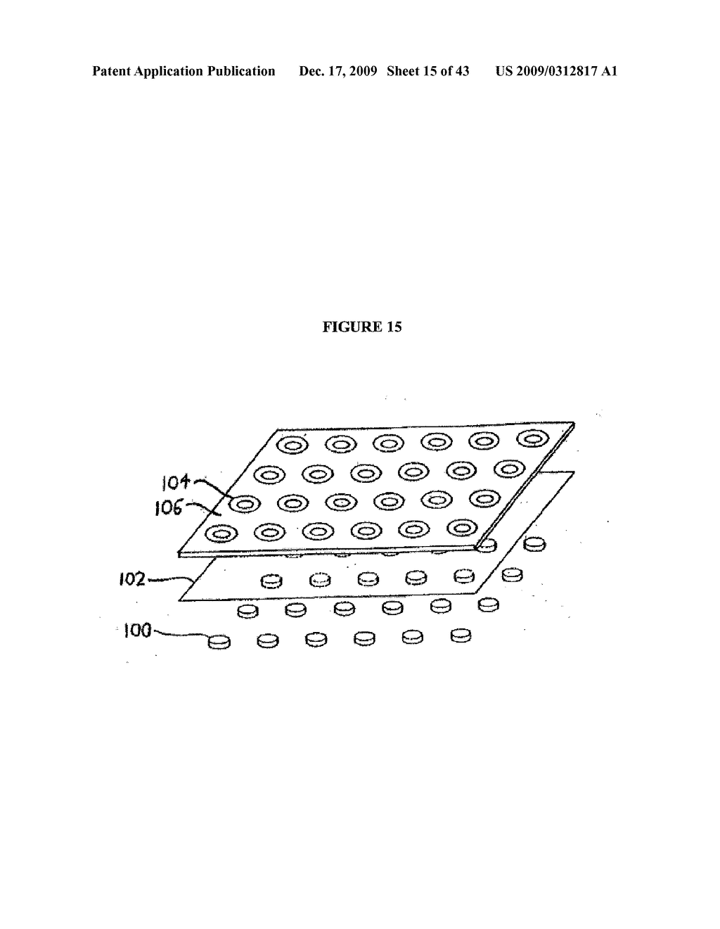 SYSTEMS AND METHODS FOR ALTERING BRAIN AND BODY FUNCTIONS AND FOR TREATING CONDITIONS AND DISEASES OF THE SAME - diagram, schematic, and image 16