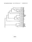 Alteration of Flowering Time in Plants diagram and image