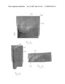 NASAL DELIVERY diagram and image