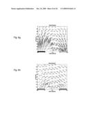 Method and Device for Electrokinetic Manipulation diagram and image