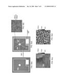 PHOTOELECTROCHEMICAL ROUGHENING OF P-SIDE-UP GaN-BASED LIGHT EMITTING DIODES diagram and image