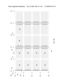 Semiconductor Die Separation Method diagram and image