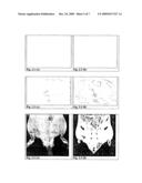 Aqueous Dispersion of Superparamagnetic Single-Domain Particles, Production and Use Thereof in Diagnosis and Therapy diagram and image