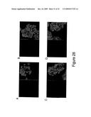 Hybrid Nanomaterials as Multimodal Imaging Contrast Agents diagram and image