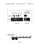 METHOD OF MODIFYING GLUCOSE ACTIVITY USING POLYPEPTIDES SELECTIVELY EXPRESSED IN FAT TISSUE diagram and image