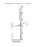 Antibodies for ubiquitinated proteins diagram and image