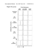 Tetramers diagram and image