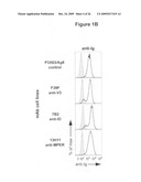 Tetramers diagram and image