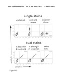 Tetramers diagram and image