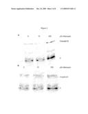 Immunogenic T-Helper Epitopes From Human Tumour Antigens and Immunotherapeutic Methods Using Said Epitopes diagram and image