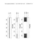 MASK HAVING MULTIPLE TRANSMITTANCES diagram and image