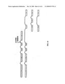 Variants at chr8q24.21 confer risk of cancer diagram and image