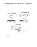 TWO PORE CHANNELS AS REGULATORS OF PROLIFERATION IN CANCER diagram and image