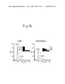 TWO PORE CHANNELS AS REGULATORS OF PROLIFERATION IN CANCER diagram and image