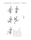 High-throughput assay for sugar-mediated drug transport diagram and image