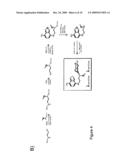 High-throughput assay for sugar-mediated drug transport diagram and image