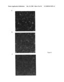 High-throughput assay for sugar-mediated drug transport diagram and image