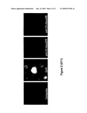 Methods for Detection of Circulating Tumor Cells and Methods of Diagnosis of Cancer in Mammalian Subject diagram and image