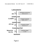 METABOLICALLY ENGINEERED CELLS FOR THE PRODUCTION OF PINOSYLVIN diagram and image