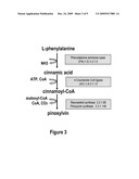 METABOLICALLY ENGINEERED CELLS FOR THE PRODUCTION OF PINOSYLVIN diagram and image