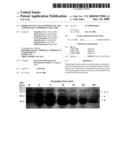 FIBRIONOLYTIC METALLOPROTEASE AND COMPOSITION COMPRISING THE SAME diagram and image