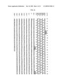 FIBRIONOLYTIC METALLOPROTEASE AND COMPOSITION COMPRISING THE SAME diagram and image