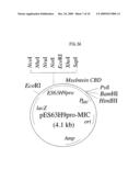 FIBRIONOLYTIC METALLOPROTEASE AND COMPOSITION COMPRISING THE SAME diagram and image