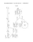 FIBRIONOLYTIC METALLOPROTEASE AND COMPOSITION COMPRISING THE SAME diagram and image