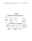 BIVALENT ErbB LIGAND BINDING MOLECULES AND METHODS FOR THEIR PREPARATION AND USE diagram and image