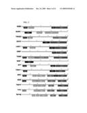 Proteins, Nucleic Acids Encoding the Same, and Associated Methods of Use diagram and image