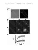 Proteins, Nucleic Acids Encoding the Same, and Associated Methods of Use diagram and image