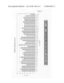 Small Interfering RNA Specific For HCV And Therapeutic Agent For Hepatitis C Comprising The Same diagram and image