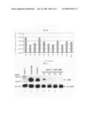 Small Interfering RNA Specific For HCV And Therapeutic Agent For Hepatitis C Comprising The Same diagram and image