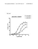 Synthetic Dog/Human Chimeric C-C Chemokine Receptor 2B diagram and image