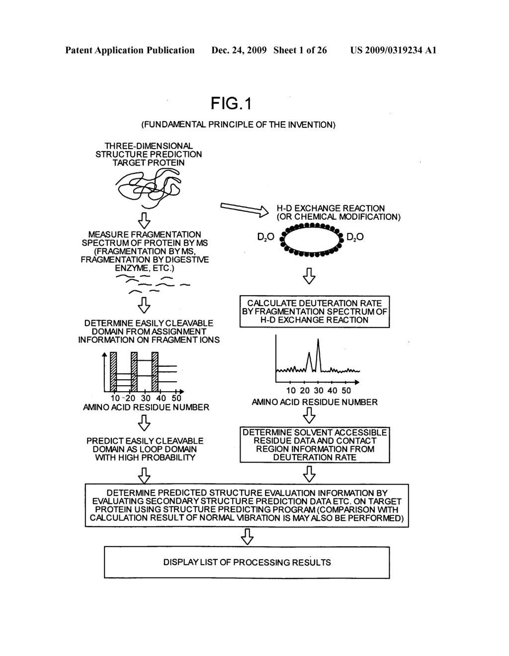 Protein structure analysis method, protein structure analyzing instrument, program and recording medium - diagram, schematic, and image 02