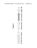 Protein Kinase Stress-Related Proteins and Methods of Use in Plants diagram and image