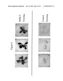 Protein Kinase Stress-Related Proteins and Methods of Use in Plants diagram and image