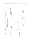 METHODS FOR IMPROVING CROP PLANT ARCHITECTURE AND YIELD diagram and image