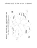 METHODS FOR IMPROVING CROP PLANT ARCHITECTURE AND YIELD diagram and image