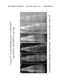 METHODS FOR IMPROVING CROP PLANT ARCHITECTURE AND YIELD diagram and image