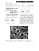 METHOD FOR MANUFACTURING SPHEROIDAL CAST IRON MECHANICAL COMPONENTS diagram and image