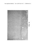 Process for Using Hydrated Iron Oxide and Alumina Catalyst for Slurry Hydrocracking diagram and image