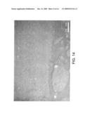 Process for Using Catalyst with Rapid Formation of Iron Sulfide in Slurry Hydrocracking diagram and image