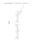 ORGANIC TRANSISTOR ARRAY, DISPLAY DEVICE AND METHOD OF FABRICATING DISPLAY DEVICE diagram and image