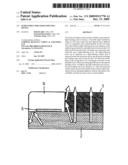 Semiconductor Light-Emitting Device diagram and image