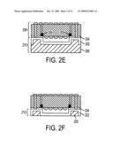 Method and apparatus providing an imager module with a permanent carrier diagram and image